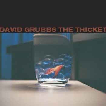 David Grubbs - The Thicket