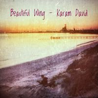 Karam David - Beautiful Wing