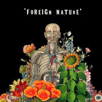 Former Faces - Foreign Nature