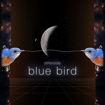 Otherside - Blue Bird