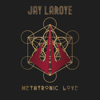 Jay Laroye - Metatronic Love