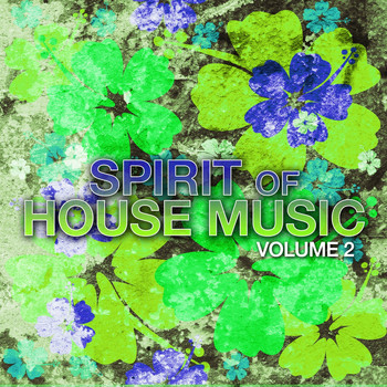 Various Artists - Spirit of House Music, Vol. 2