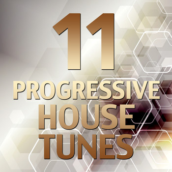 Various Artists - 11 Progressive House Tunes