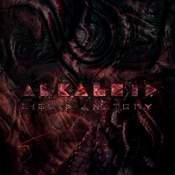 Alkaloid - Kernel Panic