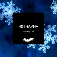 40Thavha - Memory Cell