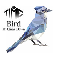 Time - Bird
