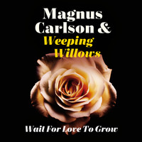 Magnus Carlson - Wait for Love to Grow