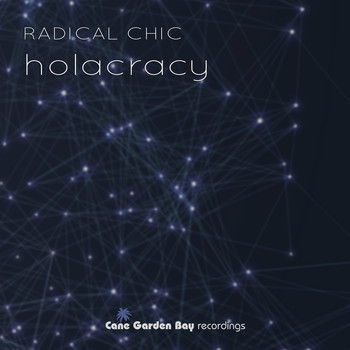 Radical Chic - Holacracy