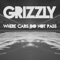 Grizzly Project - Where Cars Do Not Pass
