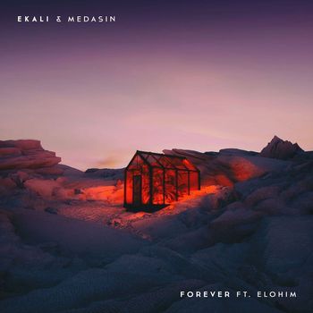 Ekali & Medasin - Forever (feat. Elohim)