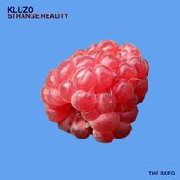 Kluzo - Strange Reality