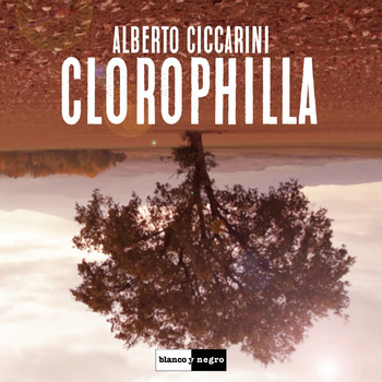 Alberto Ciccarini - Clorophilla