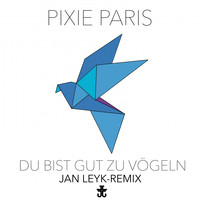 Pixie Paris - Du bist gut zu Vögeln (Jan Leyk Remix)