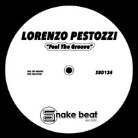 Lorenzo Pestozzi - Feel the Groove