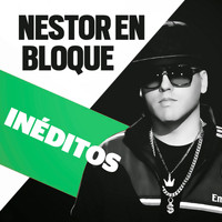 Nestor en Bloque - Inéditos