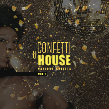 Various Artists - Confetti & House, Vol. 1
