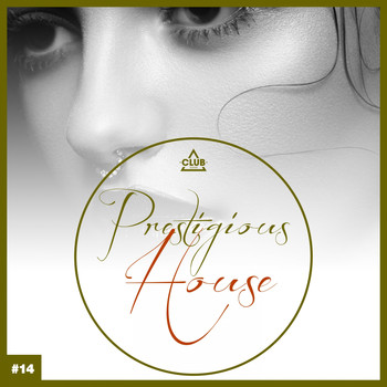 Various Artists - Prestigious House, Vol. 14