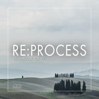 Various Artists - Re:Process - Tech House, Vol. 17