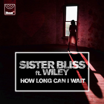 Sister Bliss - How Long Can I Wait