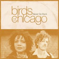Birds of Chicago featuring Allison Russell and JT Nero - Never Go Back