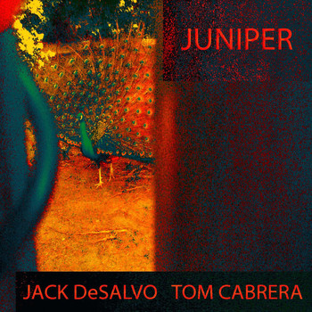 Jack DeSalvo & Tom Cabrera - Juniper