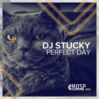 DJ Stucky - Perfect Day