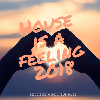 Various Artists - House Is A Feeling 2018