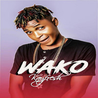 Kayfresh - Wako