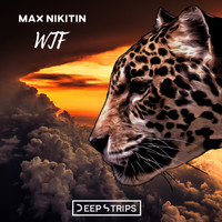 Max Nikitin - WTF (Explicit)
