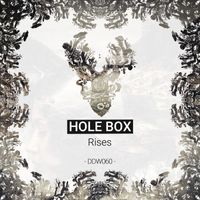 Hole Box - Rises