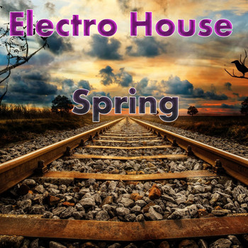 Various Artists - Electro House Spring