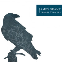 James Grant - Strange Flowers