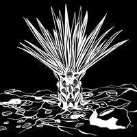 Bleep Bloop - Desert Rain
