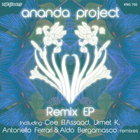Ananda Project - Remix EP