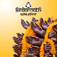 Kedarnath - Karma Groove
