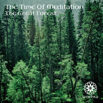 The Time Of Meditation - The Great Forest