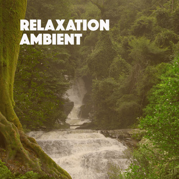 Rain Sounds & White Noise, Meditation Rain Sounds and Rain - Relaxation Ambient