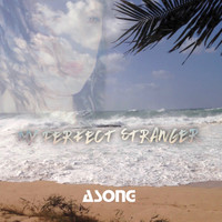 Asong - My Perfect Stranger