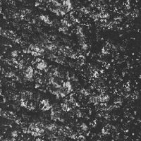 Notzing - Oniro