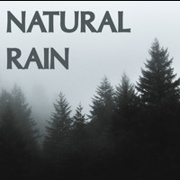 Rain Sounds, Brown Noise, Nature Sounds Nature Music - 15 Natural Rain Sounds