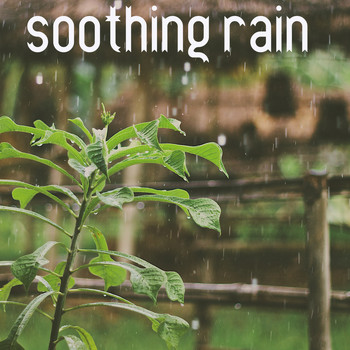 Rain Sounds, Sleep Music System, Nature Sounds Nature Music - 17 Rain Sounds to Soothe the Soul