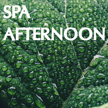 Spa, Sounds Of Nature : Thunderstorm, Rain, White Noise Meditation - Spa Afternoon Collection - Loopable Nature Sounds for Spa Days