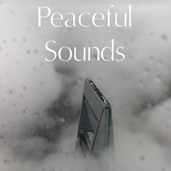Meditation Rain Sounds, Sleep Sound Library, Yoga Music - Peaceful Sounds from Nature - Gentle Rain