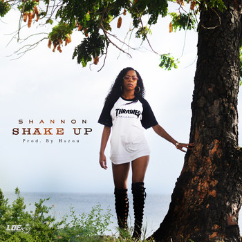 Shannon - Shake Up