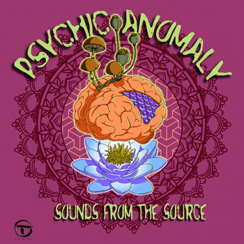 Psychic Anomaly - Sounds from The Source