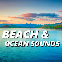 Ocean Sounds XLE Library - Beach & Ocean Sounds