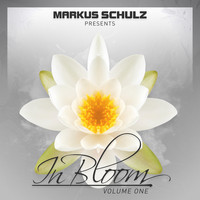 Markus Schulz - Markus Schulz presents In Bloom EP