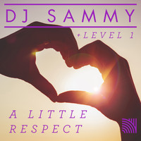 DJ Sammy & Level 1 - A Little Respect
