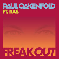 Paul Oakenfold - Freak Out (Remix)