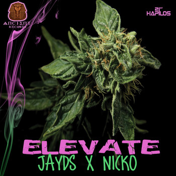 Jayds & Nicko - Elevate (Explicit)
